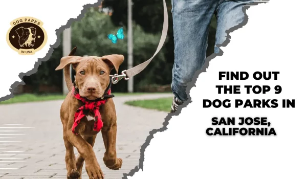 Find Out The Top 9 Dog Parks In San Jose, California