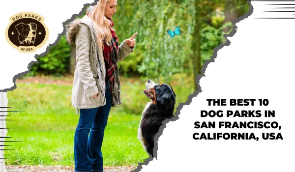 The Best 10 Dog Parks In San Francisco, California, USA